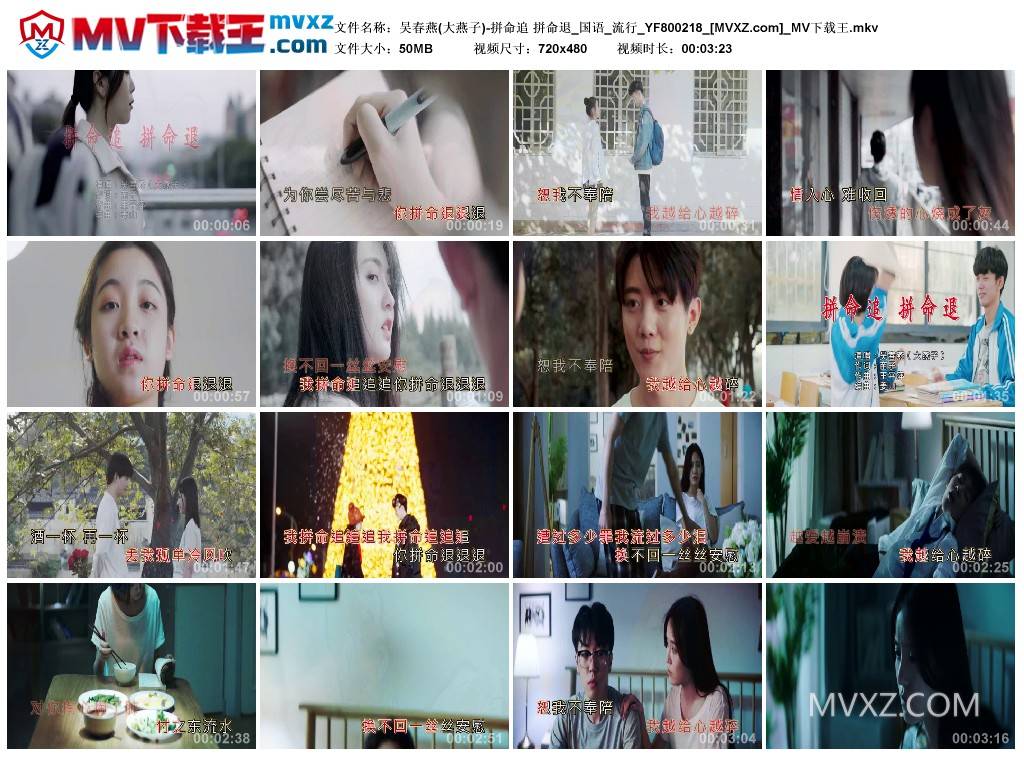 吴春燕(大燕子)-拼命追 拼命退_国语_流行_YF800218